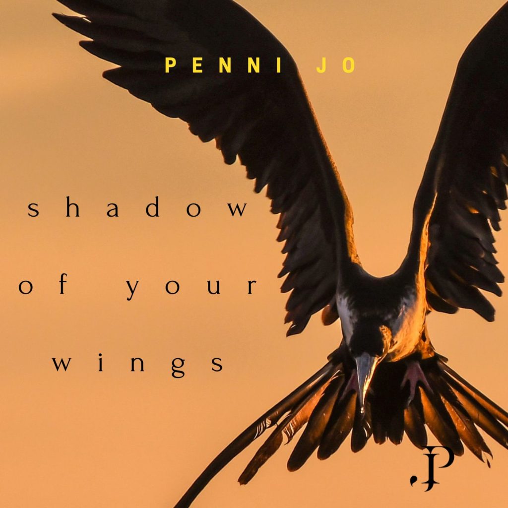 shadow-of-your-wings-penni-jo